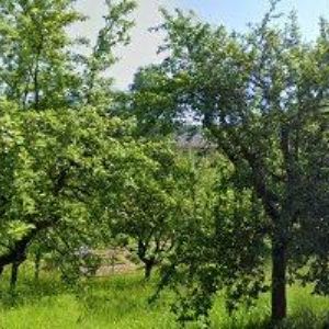 obrazek: avatar FARNÍ SBOR ČESKOBRATRSKÉ CÍRKVE EVANGELICKÉ V HORNÍ ČERMNÉ