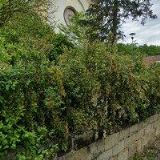 FARNÍ SBOR ČESKOBRATRSKÉ CÍRKVE EVANGELICKÉ V DVAKAČOVICÍCH