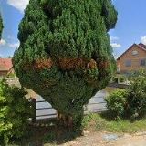 FARNÍ SBOR ČESKOBRATRSKÉ CÍRKVE EVANGELICKÉ VE DŽBÁNOVĚ-ÚSTÍ NAD ORLICÍ