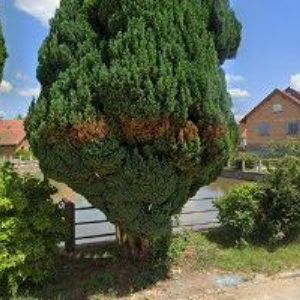 obrazek: avatar FARNÍ SBOR ČESKOBRATRSKÉ CÍRKVE EVANGELICKÉ VE DŽBÁNOVĚ-ÚSTÍ NAD ORLICÍ