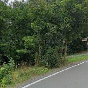 obrazek: avatar FARNÍ SBOR ČESKOBRATRSKÉ CÍRKVE EVANGELICKÉ V BOROVÉ U POLIČKY