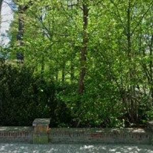 obrazek: avatar FARNÍ SBOR ČESKOBRATRSKÉ CÍRKVE EVANGELICKÉ VE SVITAVÁCH