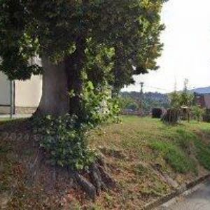 obrazek: avatar ŘÍMSKOKATOLICKÁ FARNOST Vlachovice