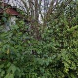 FARNÍ SBOR ČESKOBRATRSKÉ CÍRKVE EVANGELICKÉ V LESKOVCI