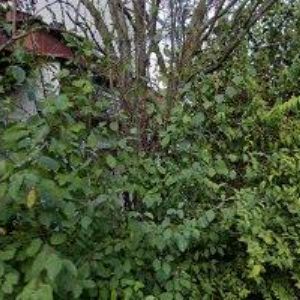 obrazek: avatar FARNÍ SBOR ČESKOBRATRSKÉ CÍRKVE EVANGELICKÉ V LESKOVCI