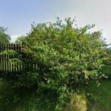 FARNÍ SBOR ČESKOBRATRSKÉ CÍRKVE EVANGELICKÉ V PRŽNĚ