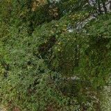 UNIE ROSKA-regionální organizace ROSKA Jablonec nad Nisou