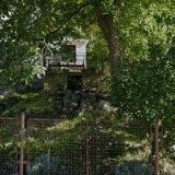 SVOBODNÁ ŠKOLA UMĚNÍ, z.s.