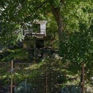 obrazek: avatar SVOBODNÁ ŠKOLA UMĚNÍ, z.s.