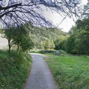 obrazek: avatar ŽIVOT NA VSI