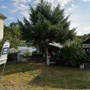 obrazek: avatar TOM CHIPPEWA