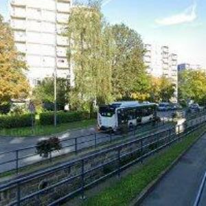 obrazek: avatar KRAJSKÁ RADA SENIORŮ LIBERECKÉHO KRAJE