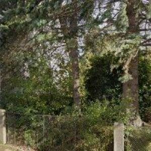 obrazek: avatar CURIA VÍTKOV, o.s.