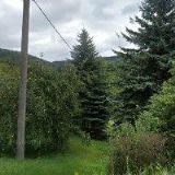 ČESKÝ SVAZ VČELAŘŮ, ZÁKLADNÍ ORGANIZACE Zlatá Olešnice