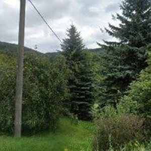 obrazek: avatar ČESKÝ SVAZ VČELAŘŮ, ZÁKLADNÍ ORGANIZACE Zlatá Olešnice