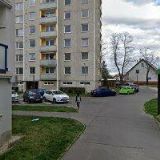 SDRUŽENÍ PŘÁTEL VODÍCÍCH PSŮ