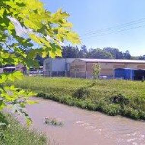 obrazek: avatar OBČANSKÉ SDRUŽENÍ KAMARÁDI