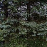 ČESKOMORAVSKÁ MYSLIVECKÁ JEDNOTA, OKRESNÍ MYSLIVECKÝ SPOLEK Liberec