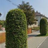 OKRÁŠLOVACÍ A ZÁBAVNÍ SPOLEK, z. s.