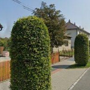 obrazek: avatar OKRÁŠLOVACÍ A ZÁBAVNÍ SPOLEK, z. s.