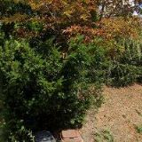 CENTRUM RODINY A ZDRAVÍ