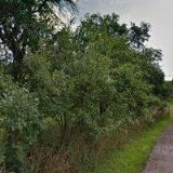 SDRUŽENÍ ZA ZDRAVÉ LUŽKOVICE