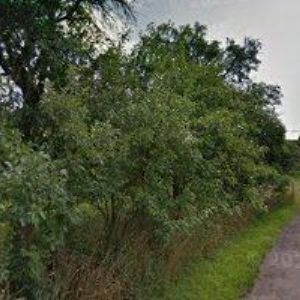 obrazek: avatar SDRUŽENÍ ZA ZDRAVÉ LUŽKOVICE