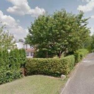 obrazek: avatar OBČANSKÉ SDRUŽENÍ POD KŘÍDLY