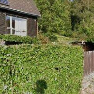 obrazek: avatar ZO ČSOP Kateřinky