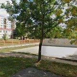 ČESKÝ SVAZ OCHRÁNCŮ PŘÍRODY CYGNUS