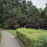 ČESKÝ RYBÁŘSKÝ SVAZ, MO Česká Třebová