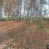 ČESKÝ RYBÁŘSKÝ SVAZ, MO Hlinsko