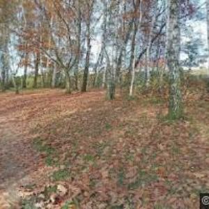 obrazek: avatar ČESKÝ RYBÁŘSKÝ SVAZ, MO Hlinsko