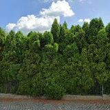 ČESKÝ RYBÁŘSKÝ SVAZ, MO Skuteč