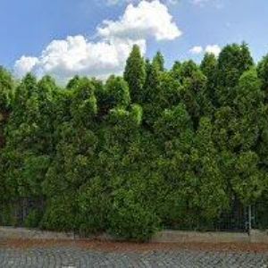 obrazek: avatar ČESKÝ RYBÁŘSKÝ SVAZ, MO Skuteč