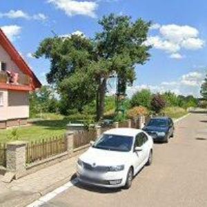 obrazek: avatar ČESKÝ RYBÁŘSKÝ SVAZ, MO Řečany nad Labem