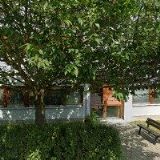 ČESKÝ SVAZ VČELAŘŮ, ZÁKLADNÍ ORGANIZACE Litomyšl