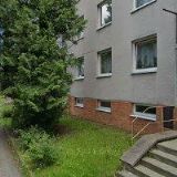 ČESKÝ ZAHRÁDKÁŘSKÝ SVAZ, základní organizace