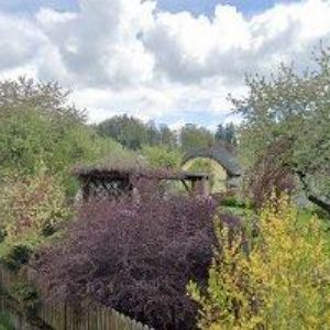 obrazek: avatar ČESKÝ RYBÁŘSKÝ SVAZ, MO Bystré