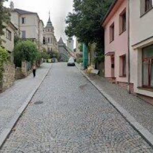 obrazek: avatar ČESKOMORAVSKÁ MYSLIVECKÁ JEDNOTA, OKRESNÍ MYSLIVECKÝ SPOLEK Ústí nad Orlicí