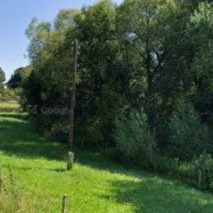 obrazek: avatar ČESKÝ SVAZ OCHRÁNCŮ PŘÍRODY ORLICKÉ HORY