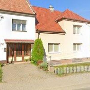 obrazek: avatar ČESKÝ SVAZ VČELAŘŮ, ZÁKLADNÍ ORGANIZACE Traplice