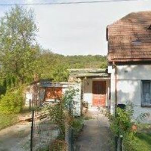 obrazek: avatar ČESKÝ SVAZ VČELAŘŮ, ZÁKLADNÍ ORGANIZACE Starý Hrozenkov