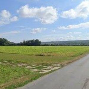 obrazek: avatar ZO ČESKÉHO ZAHRÁDKÁŘSKÉHO SVAZU Nivnice