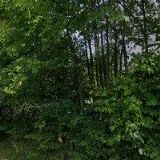 ZO ČSOP MORAVSKÉ KOPANICE