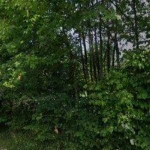 obrazek: avatar ZO ČSOP MORAVSKÉ KOPANICE