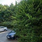 ČESKÝ SVAZ CHOVATELŮ, OKRESNÍ ORGANIZACE Zlín