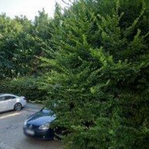 obrazek: avatar ČESKÝ SVAZ CHOVATELŮ, OKRESNÍ ORGANIZACE Zlín