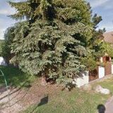 KYNOLOGICKÝ KLUB Bystřice pod Hostýnem