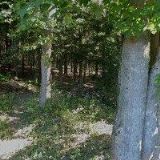 ŘEZNICTVÍ A UZENÁŘSTVÍ KARAPETJAN s.r.o.